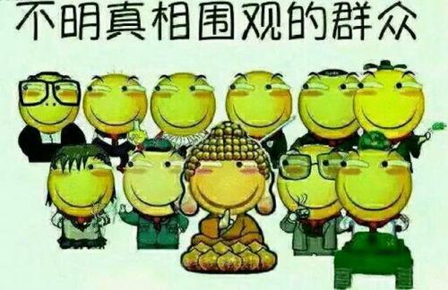 吃瓜群众在七零,吃瓜群众的欢乐时光